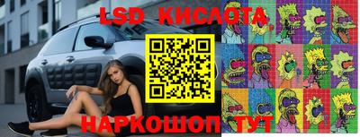 гашик Краснодар