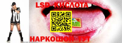 MDMA Premium VHQ Краснознаменск