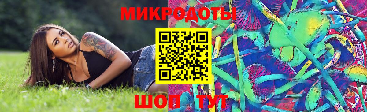 Калининград  закладка  Вход с VPN  Псилоцибиновые грибы Cubensis 