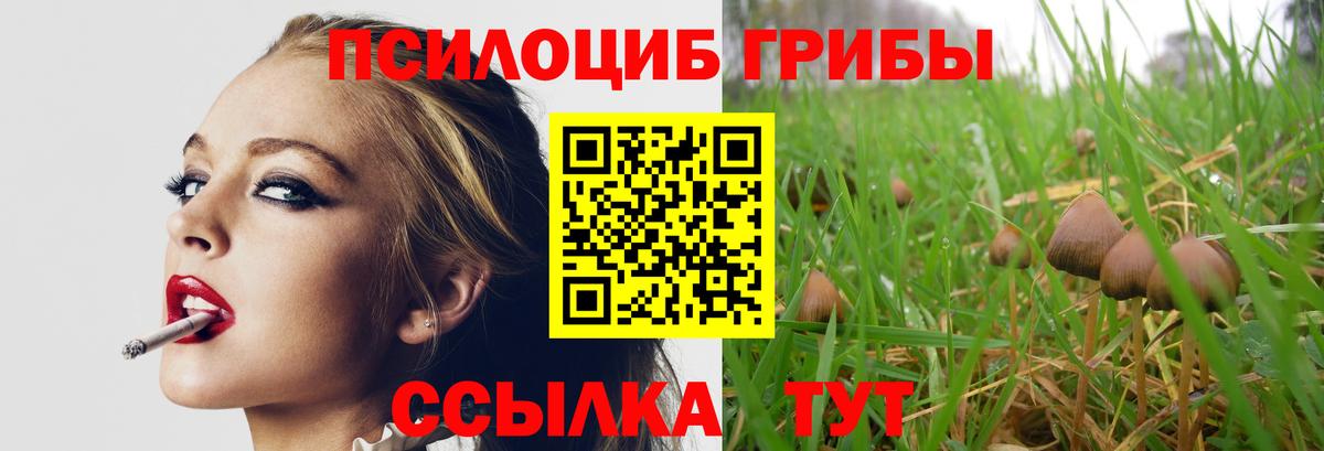 Псилоцибиновые грибы MAGIC MUSHROOMS Калининград